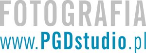 pgdstudio_logo